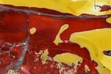 Polished Mookaite Jasper Slab - Australia #145281-1